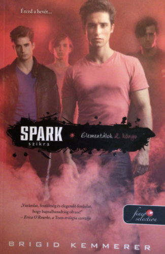 Brigid Kemmerer - Spark - Szikra