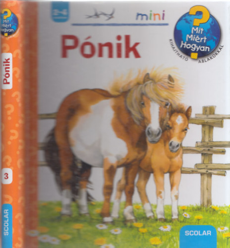 Horvth Virg (szerk.) - Pnik - Mit? MIrt? Hogyan? (kihajthat ablakokkal)
