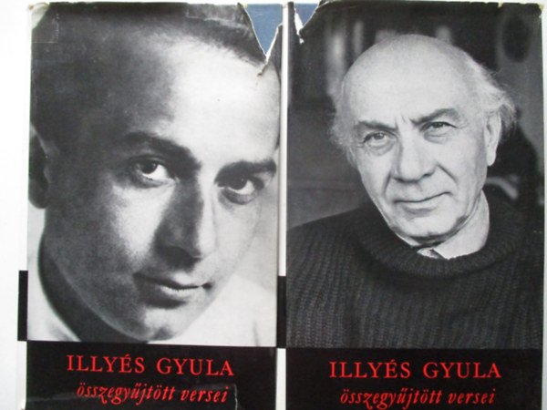 Illy�s Gyula - Illy�s Gyula �sszegy�jt�tt versei I-II.