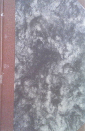 Mario Puccini - A sz�z �s az utca l�nya