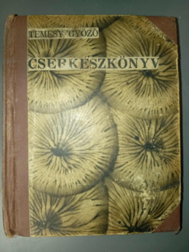 Temesy Győző vitéz - Cserkészkönyv (A cserkészéletre készülő magyar fiúk számára)