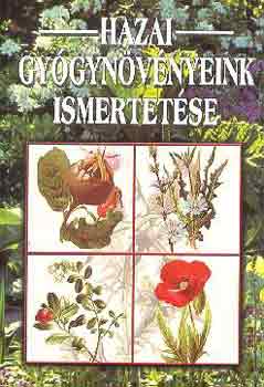 Hazai gy�gyn�v�nyeink ismertet�se (A gy�gyn�v�ny �s a drog; Gy�gyn�v�ny-t�rt�nelem az �kort�l napjainkig; A gy�gyn�v�nyek csoportos�t�sa; Gy�jt�s �s el�l�sz�t�s feldolgoz�sra...)