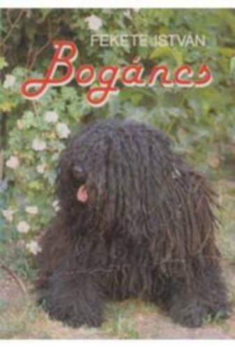 Fekete Istvn - Bogncs