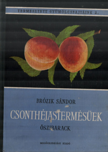 Br�zik S�ndor - Csonth�jasterm�s�ek-�szibarack