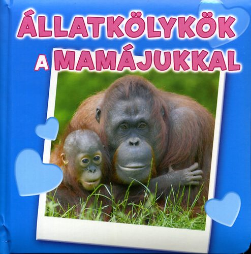 llatklykk a mamjukkal