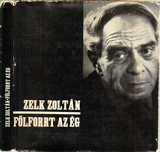 Zelk Zolt�n - F�lforrt az �g (Reich K�roly rajzaival)- hanglemez mell�klettel