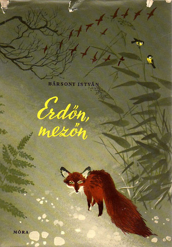 B�rsony Istv�n - Erd�n, mez�n