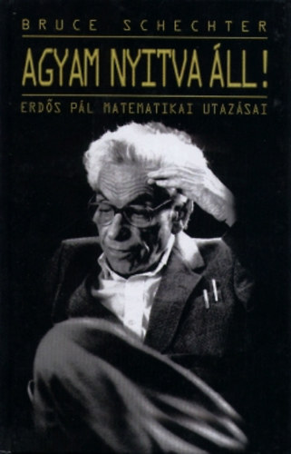 Bruce Schechter - Az agyam nyitva ll! - Erds Pl matematikai utazsai