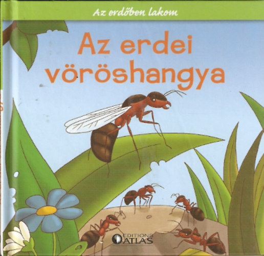 Az erdei vrshangya