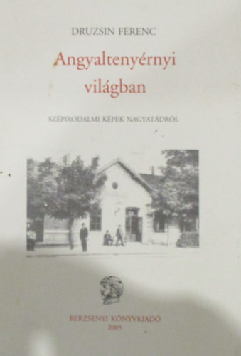 Druzsin Ferenc - Angyalteny�rnyi vil�gban