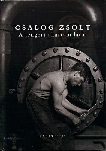 Csalog Zsolt - A tengert akartam ltni