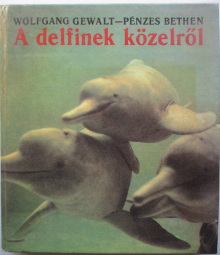 Wolfgang Gewalt-Pnzes Bethen - A delfinek kzelrl