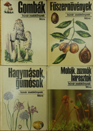 Bvr zsebknyvek csomag