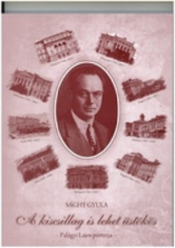 Sághy Gyula - A kiscsillag is lehet üstökös - Palágyi Lajos portréja (Dedikálta Palágyi Mária)