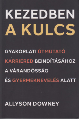 Allyson Downey - Kezedben a kulcs - Gyakorlati tmutat karriered beindtshoz a vrandssg s a gyermeknevels alatt