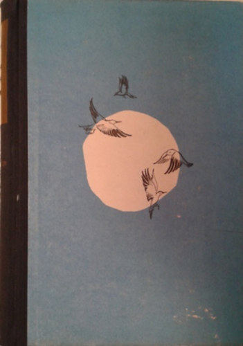 N�meth Imre - A Bibor-tenger partj�n