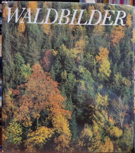 Harald Thomasius, Hans-Jochen Knobloch (photo) - Waldbilder. Eine Exkursion in die heimischen Wlder