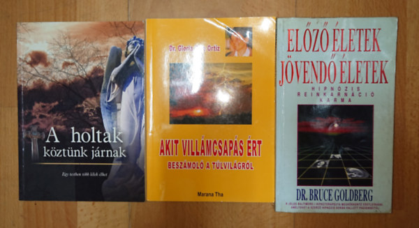 Marana Tha, Bruce Goldberg - 3 könyv a túlvilágról: A holtak köztünk jártunk, Akit villámcsapás érrt - beszámoló aa túlvilágról, Előző életek, jövendő életek