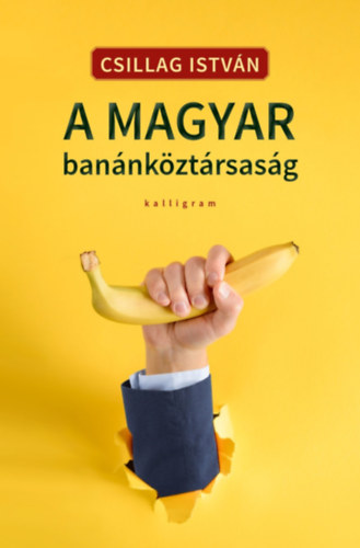 Csillag Istvn - A magyar bannkztrsasg
