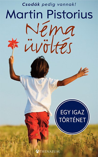 Martin Pistorius, Davies, Meganlloyd - Néma üvöltés