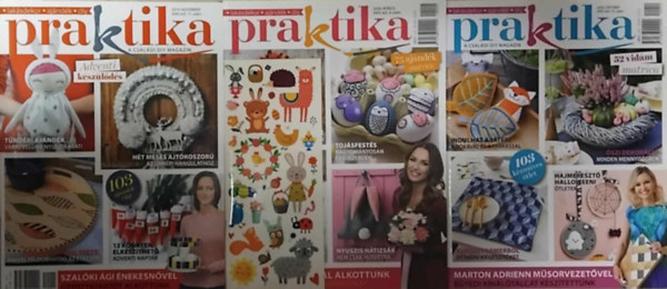Nincs feltntetve - Praktika - A csaldi DIY magazin ( 3 db )