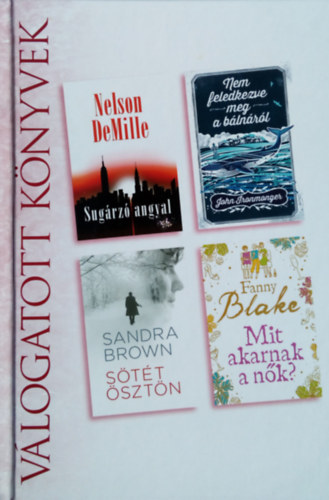 Nelson DeMille; John Ironmonger; Sandra Brown; Fanny Blake - Sugrz angyal - Nem feledkezve meg a blnrl - Stt sztn - Mit akarnak a nk? (Vlogatott Knyvek)