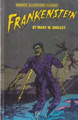 Mary W. Shelley - Frankenstein (Regents Illustrated Classics) (angol nyelv kpregny)