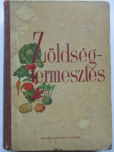 Angeli-Bessenyei-Koródi-Zatykó - Zöldségtermesztés