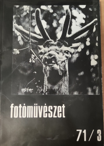 Rozgonyi Ivn (szerk.) - Fotmvszet XIV. vf. 3. szm (1971)