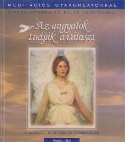 Daniel A., Wyllie, Timothy, Ramer, Andrew - Az angyalok tudják a választ