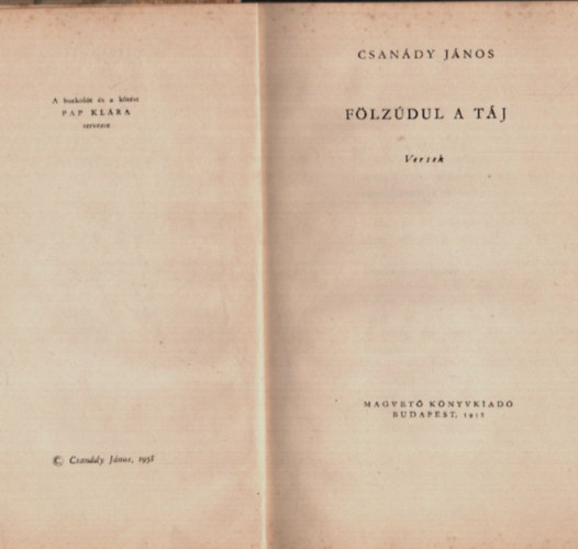 Csanády János - Fölzúdul a táj