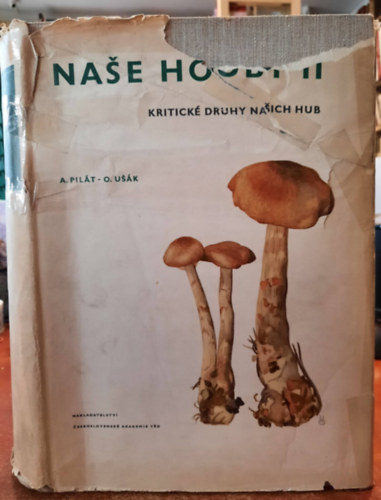 Pilt A. - Nae houby II Kritick druhy naich hub (vek formt) - Gombink II Gombink kritikus fajai (nagy formtum) Szlovk nyelven