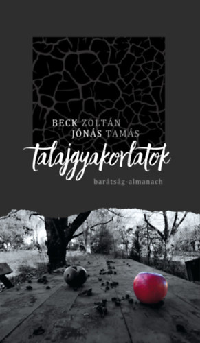 Beck Zoltn, Jns Tams - Talajgyakorlatok