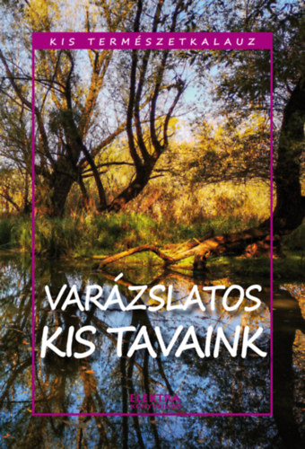 Bernth Istvn - Varzslatos kis tavaink