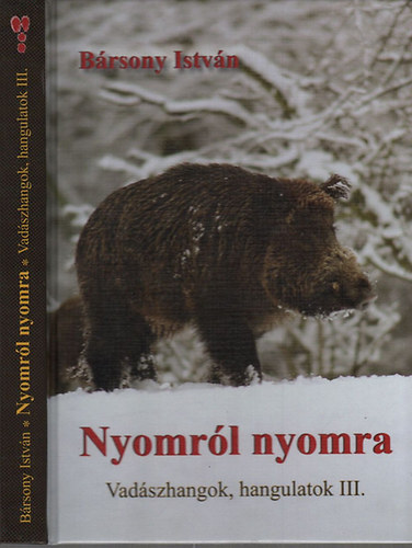 Brsony Istvn - Nyomrl nyomra (Vadszhangok, hangulatok III.)