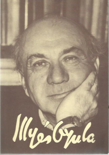 Mrton Jnos (szerk.) - Illys Sndor emlkknyv