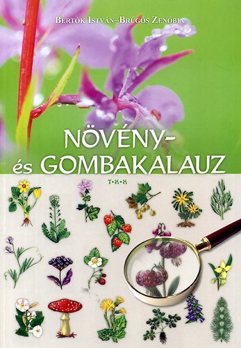 Bertk Istvn; Brgs Zenbia - Nvny- s gombakalauz