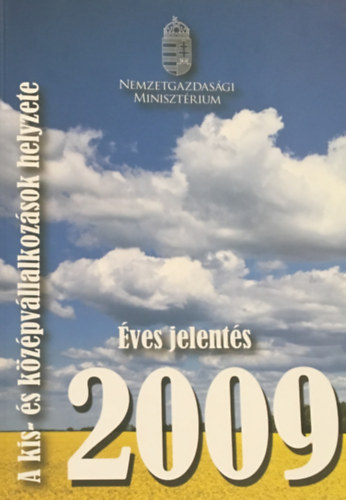 A kis- s kzpvllalkozsok helyzete 2009