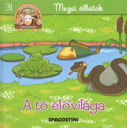 A t lvilga (Csodatanya 31.)