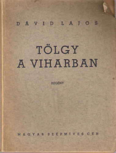 Dvid Lajos - Tlgy a viharban