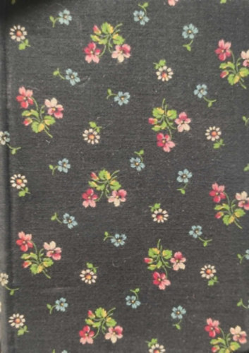 V�szi Margit - �tk�zben