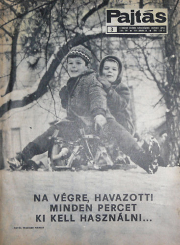 Vasvri Ferenc (szerk.) - Pajts XXIX. vfolyam 3. szm
