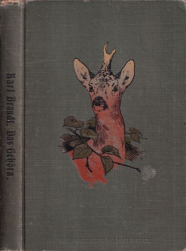 Karl Brandt - Das gehrn und die Entstehung monstrser Formen (Ein Handbuch fr Jger und Naturforscher)