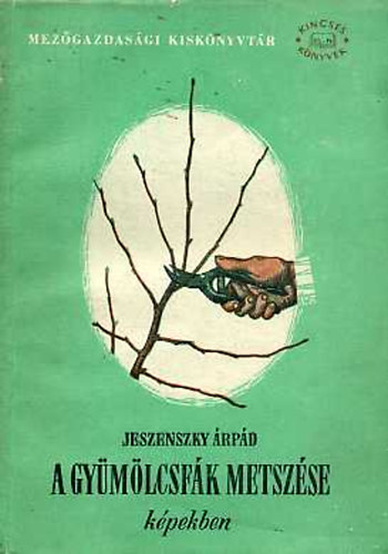 Jeszenszky rpd - A gymlcsfk metszse kpekben