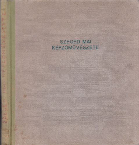 Krajk Andrs (szerk.) - Szeged mai kpzmvszete