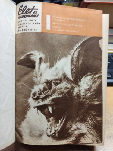 Kocsis Ferenc - �let �s Tudom�ny 1964 �vfolyamb�l 18 db lapsz�m