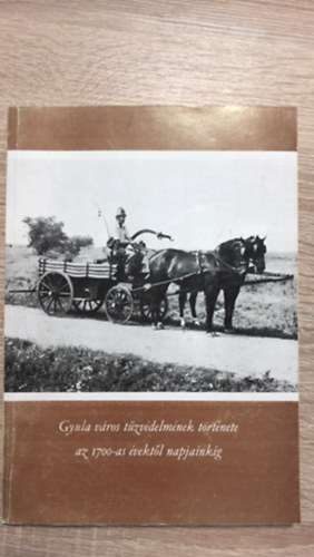 D. Nagy Andr�s, Dr. M�ray Gy�rgy, Sz�ll�si P�l - Gyula v�ros t�zv�delm�nek t�rt�nete az 1700-as �vekt�l napjainkig