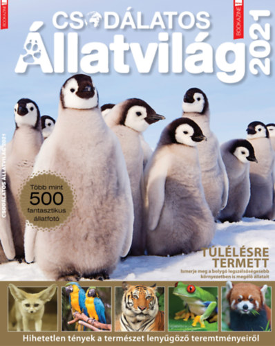 Füles Bookazine: Csodálatos Állatvilág 2021