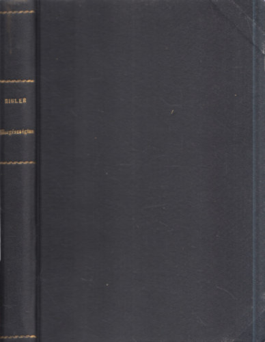 Dr. Rigler Gusztáv - A közegészségtan és a járványtan rövid tankönyve