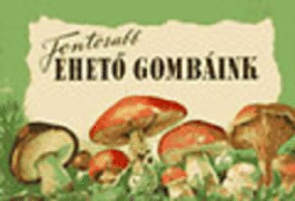 Fontosabb ehet gombink